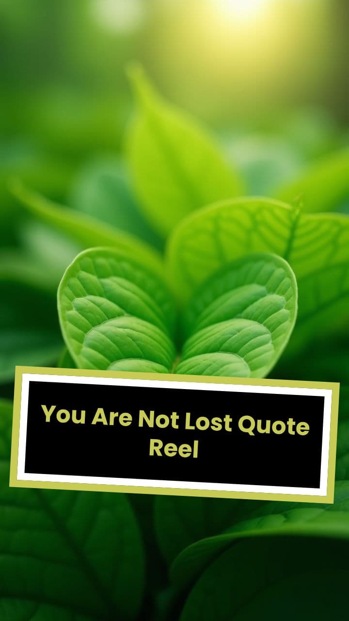 You Are Not Lost Quote Reel