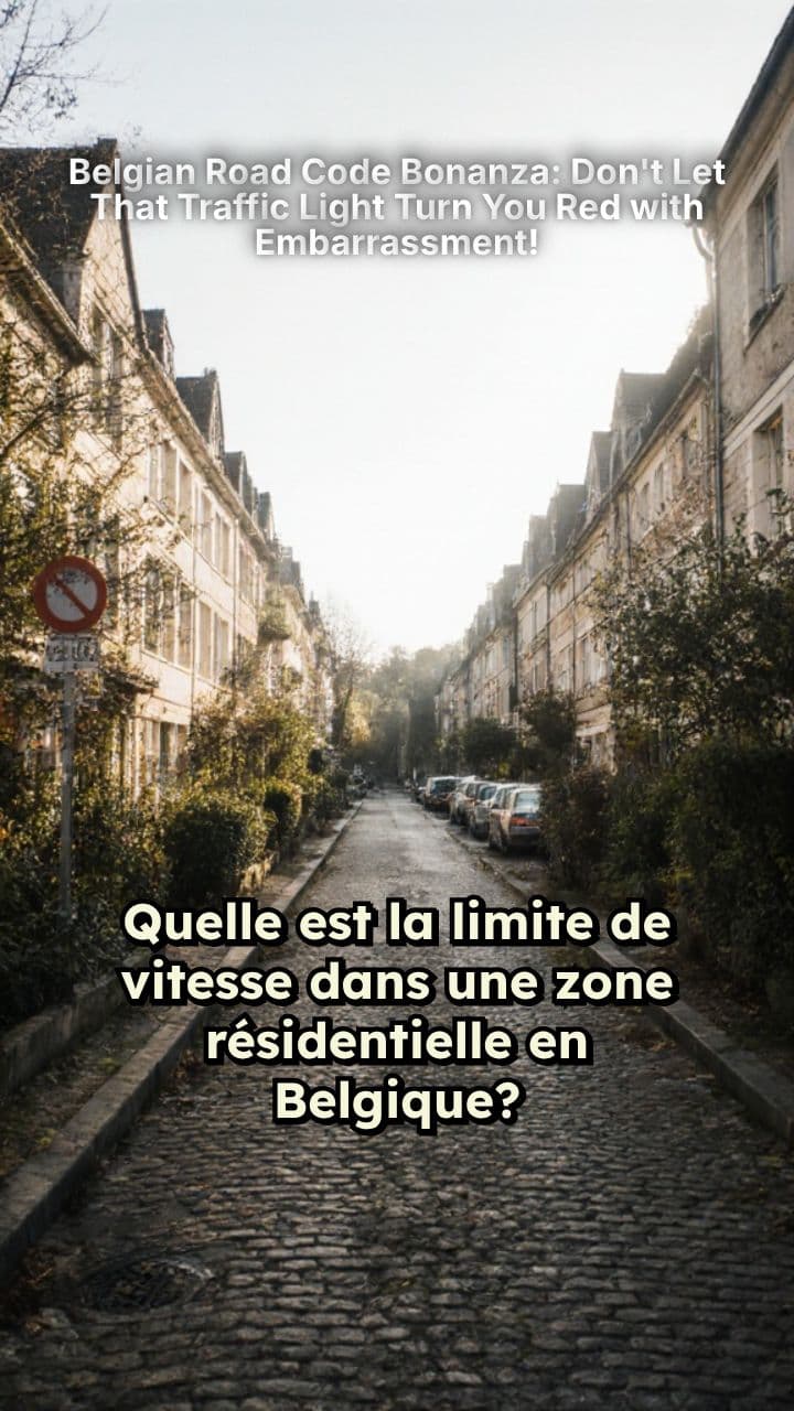 Belgian Road Code Bonanza: Don't Let That Traffic Light Turn You Red with Embarrassment!