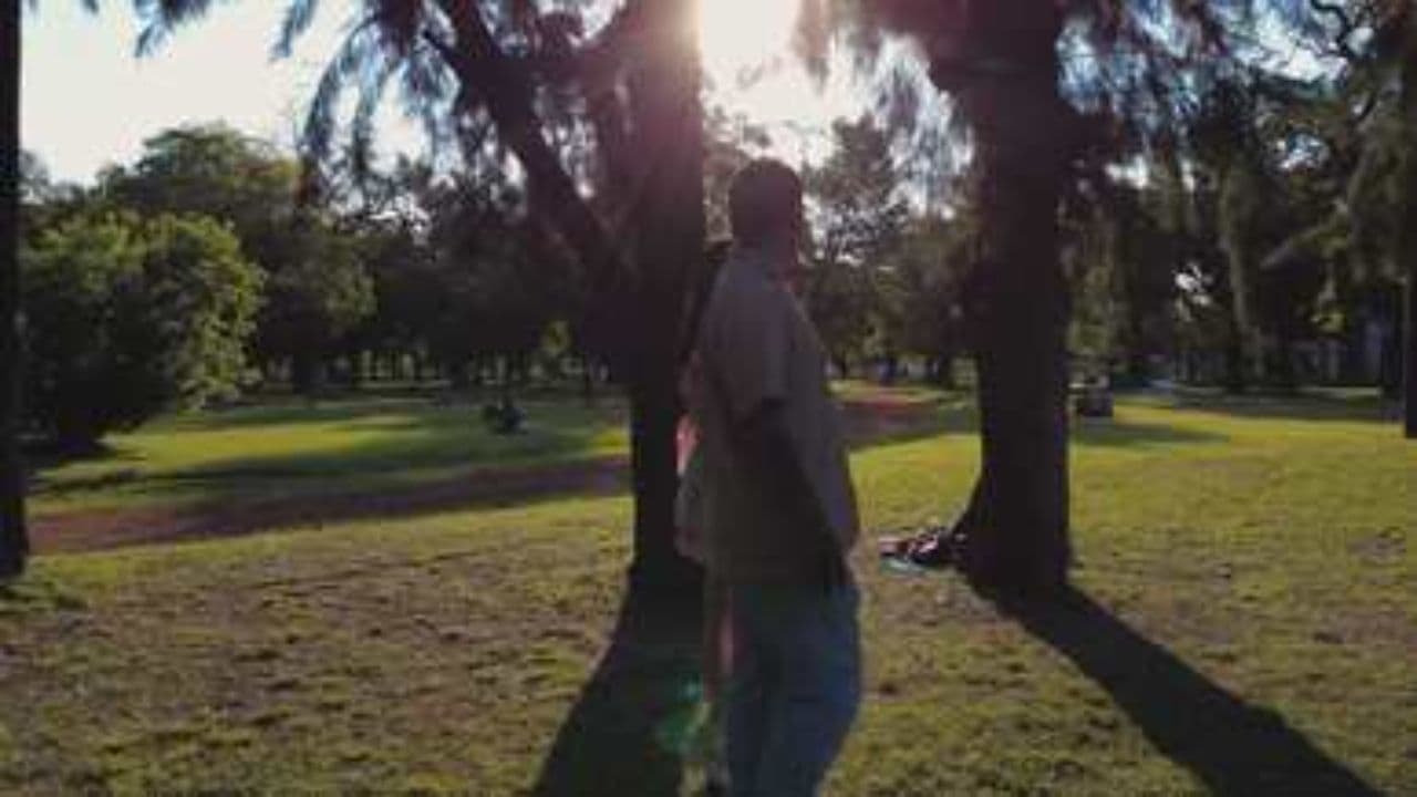 Written in the Stars