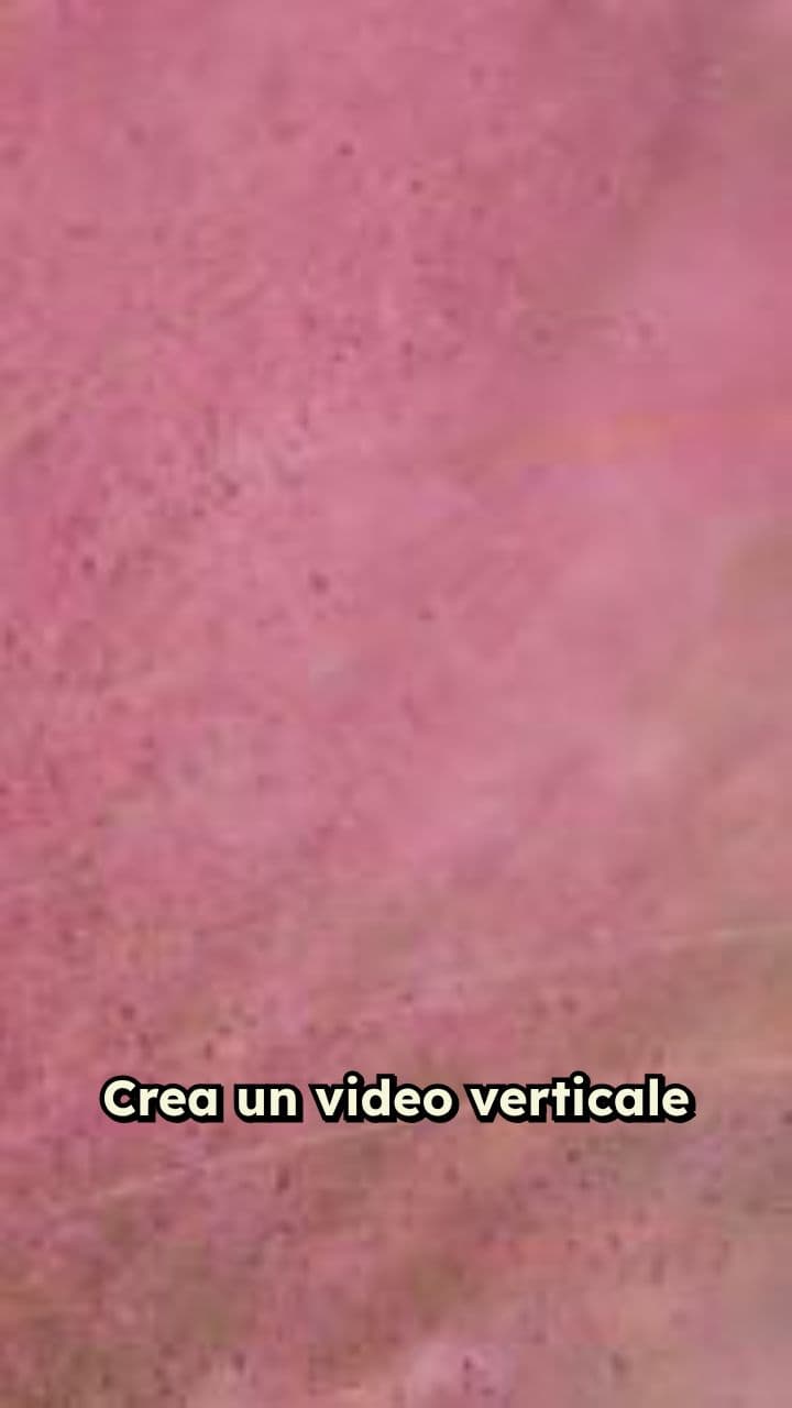 Presenta Vinted Sky Reselling