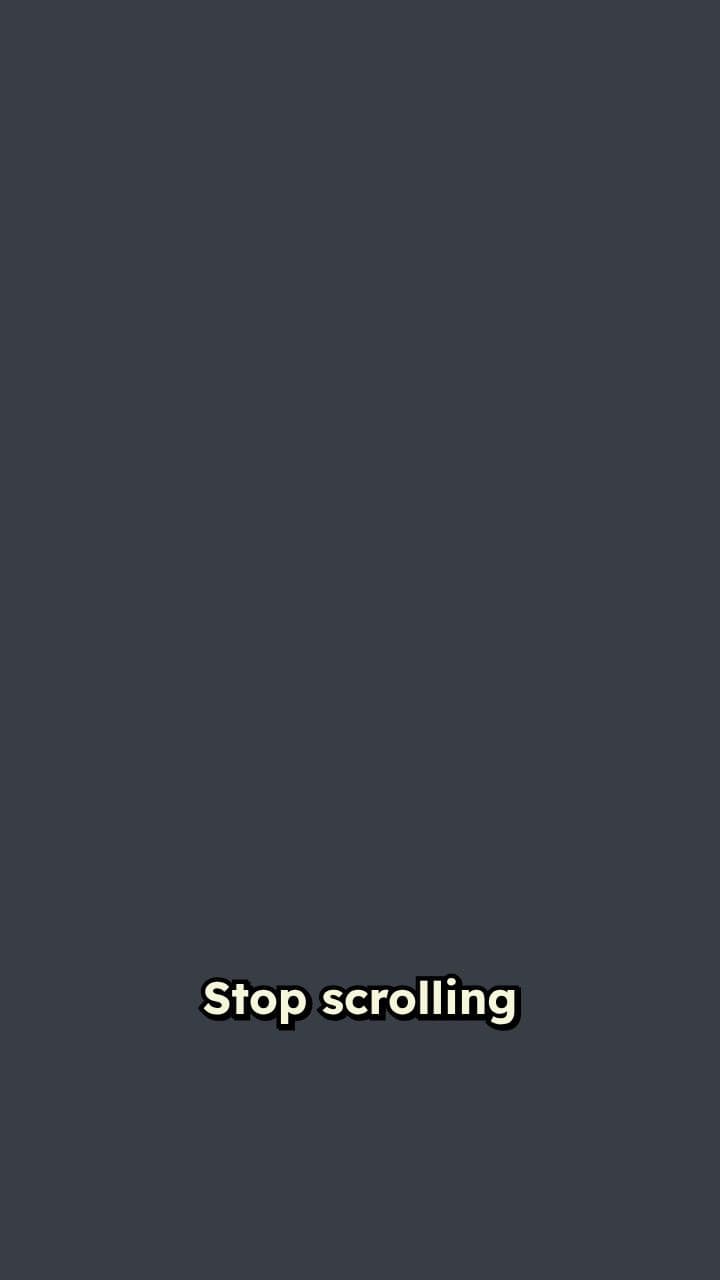 Cats: Chaos to Pure Fluff