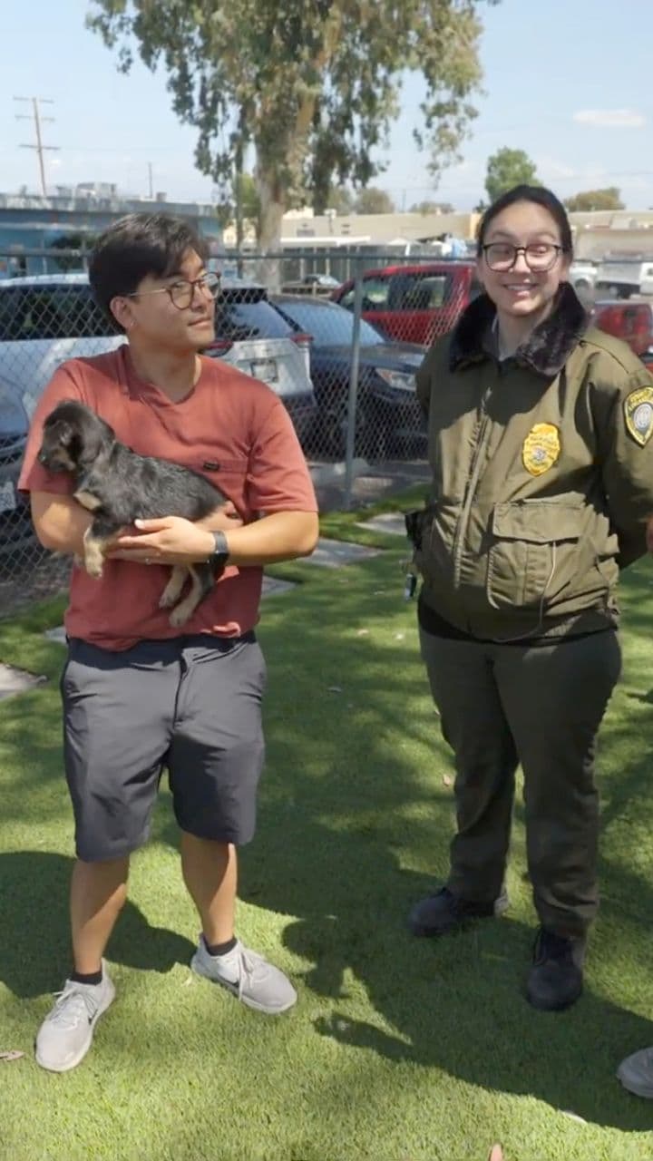 Rescuing Rhinos from a Helicopter