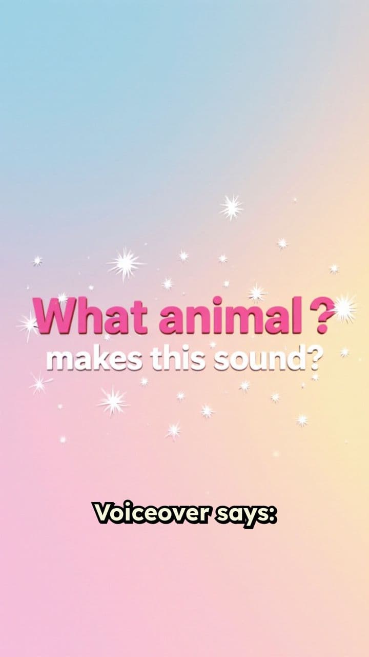 What Animal Says Moo?