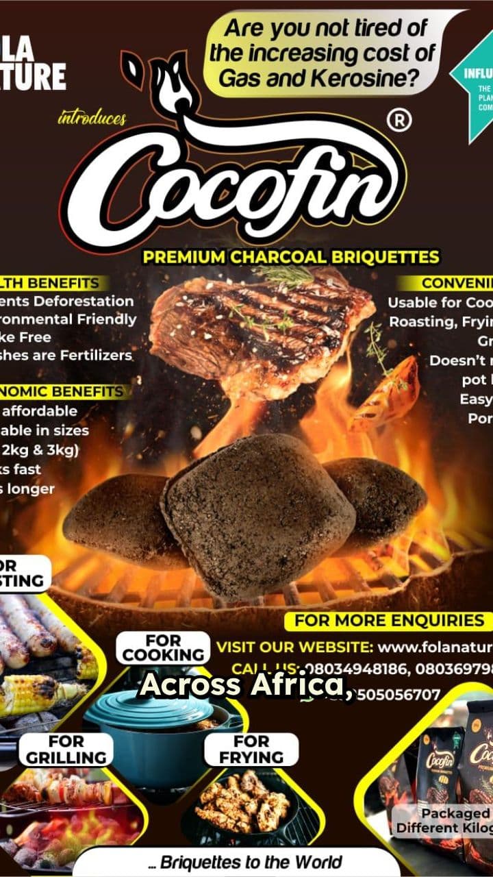 CocoFin: Clean Cooking from Coconut Waste