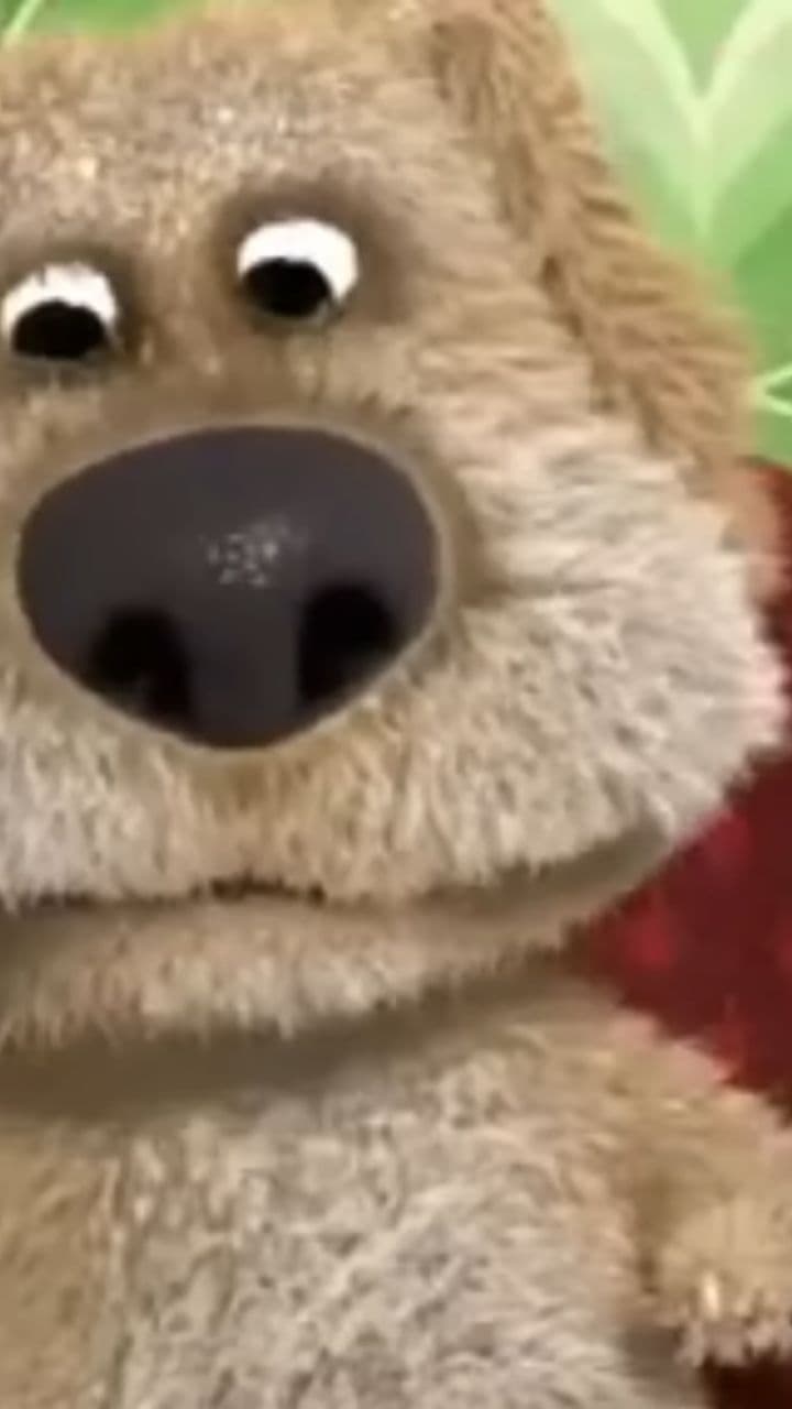 Support and Identity