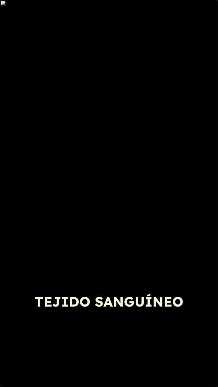Elementos del Tejido Sanguíneo