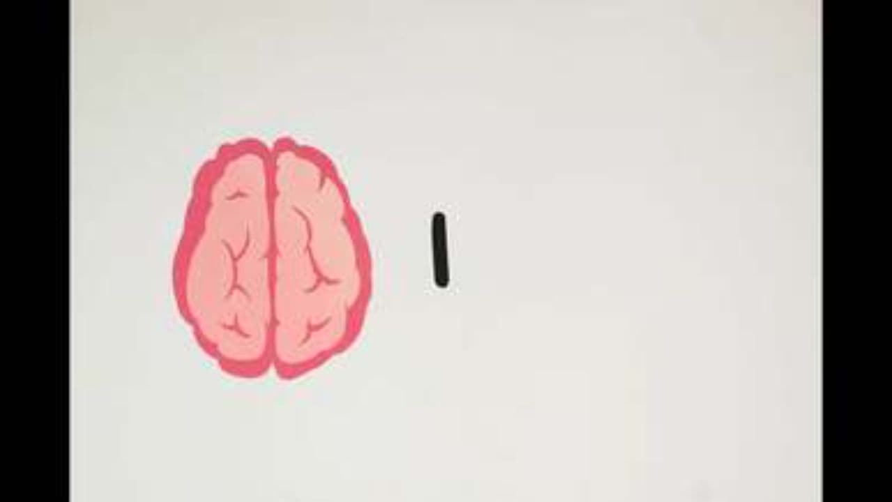 سلامت کلیه‌ها: نشانه‌ها و راهکارها