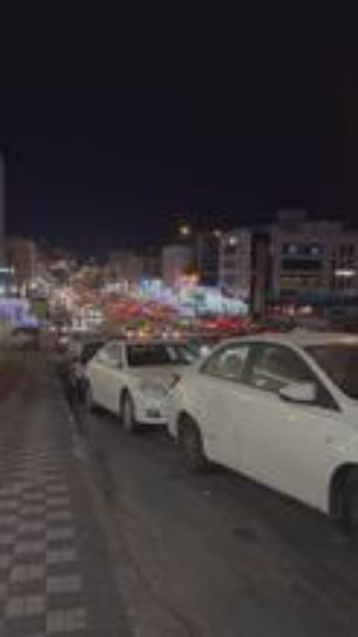 Fleurs sur le béton