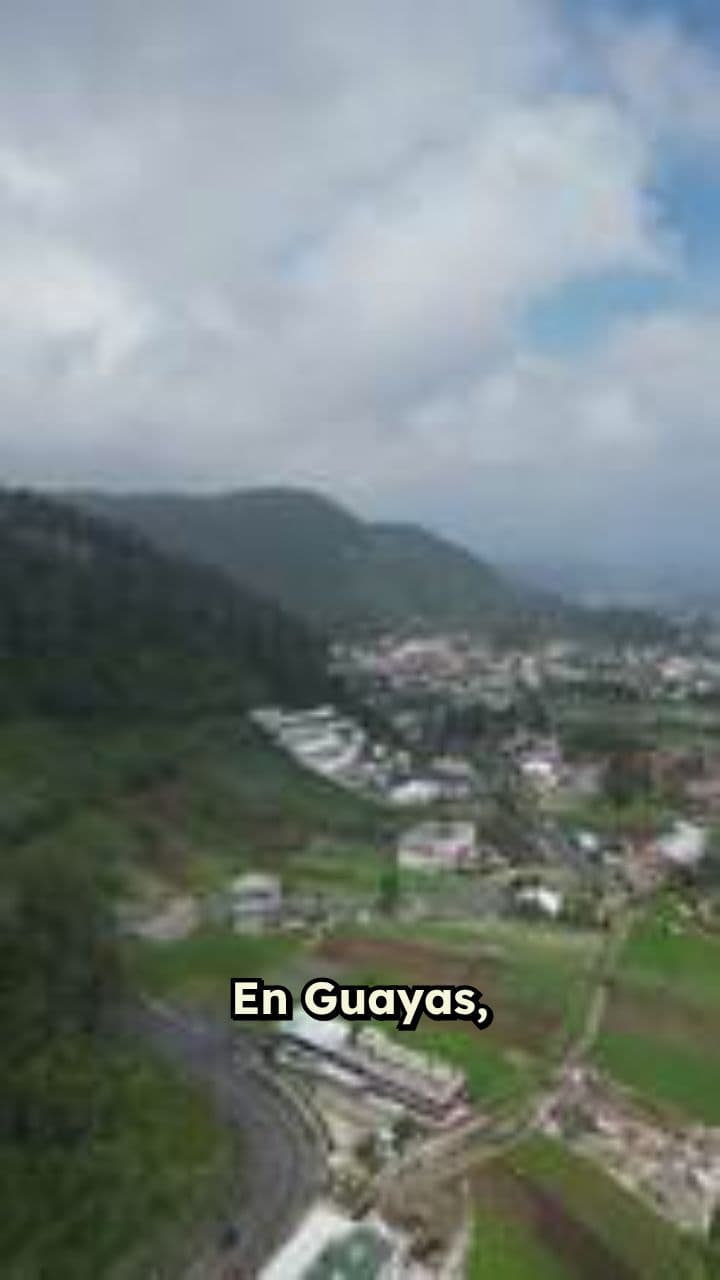 Guayalma: Emprendimiento y Oportunidad en Guayas