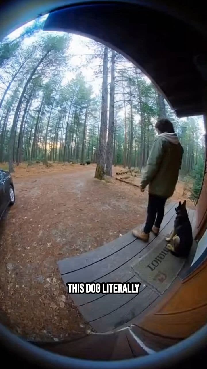 Dog Saves Owner from Bear Attack