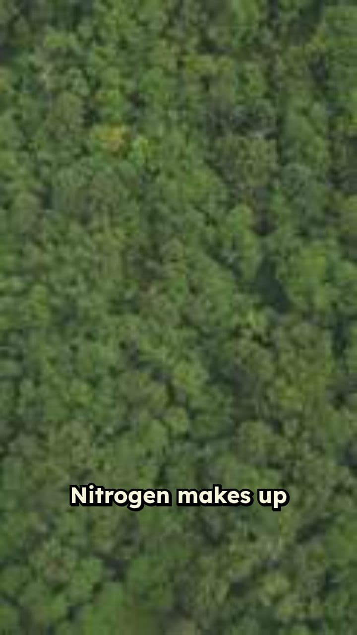 El ciclo del nitrógeno en la vida terrestre