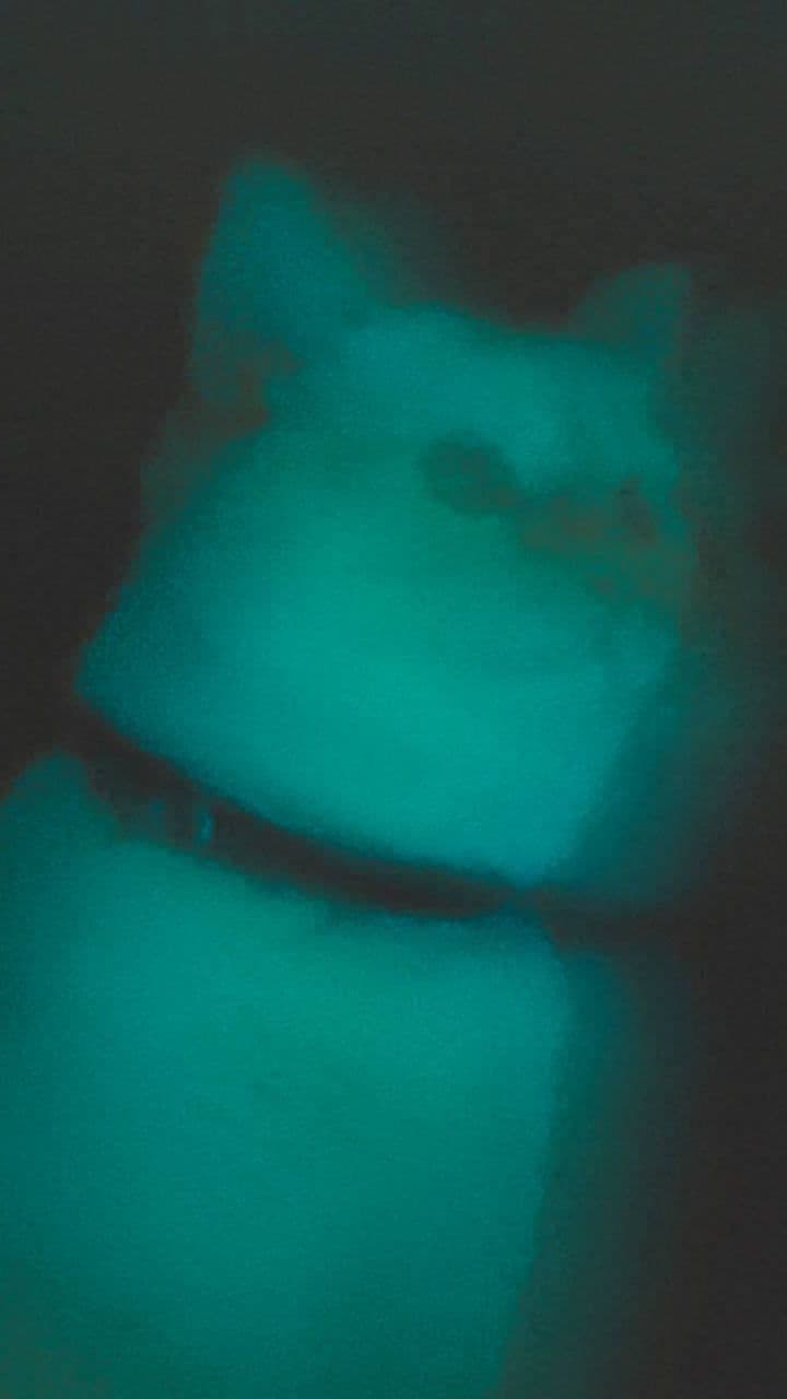 Прогрессивный транс с синтезаторным влиянием