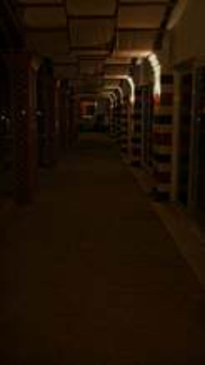 Hoodie Armor: Rising Through Flames