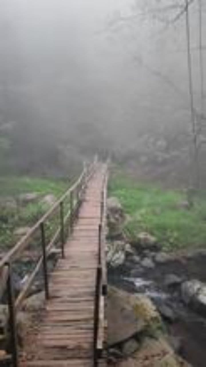 ¡No te enamores de Domi!