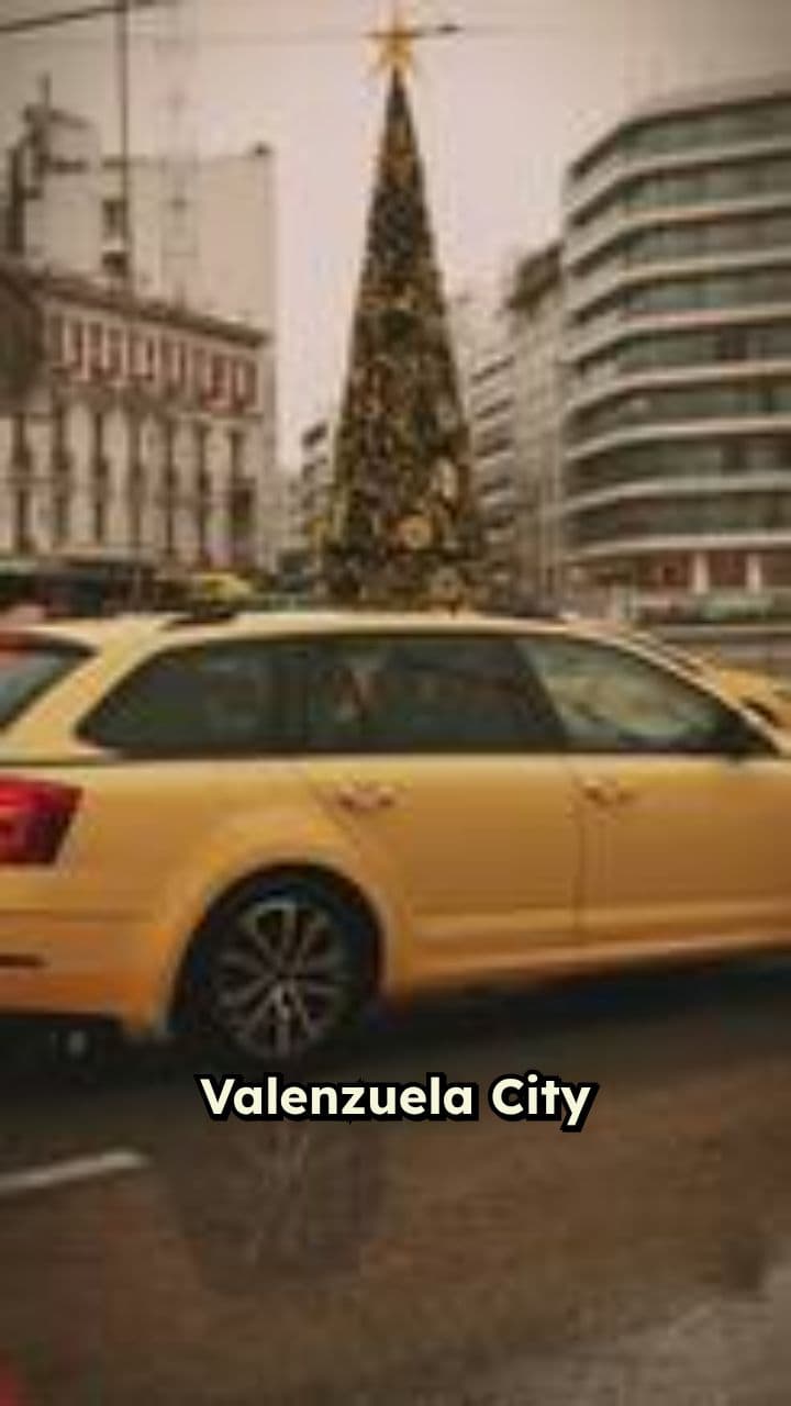 Safe Christmas Guidelines for Valenzuela Families