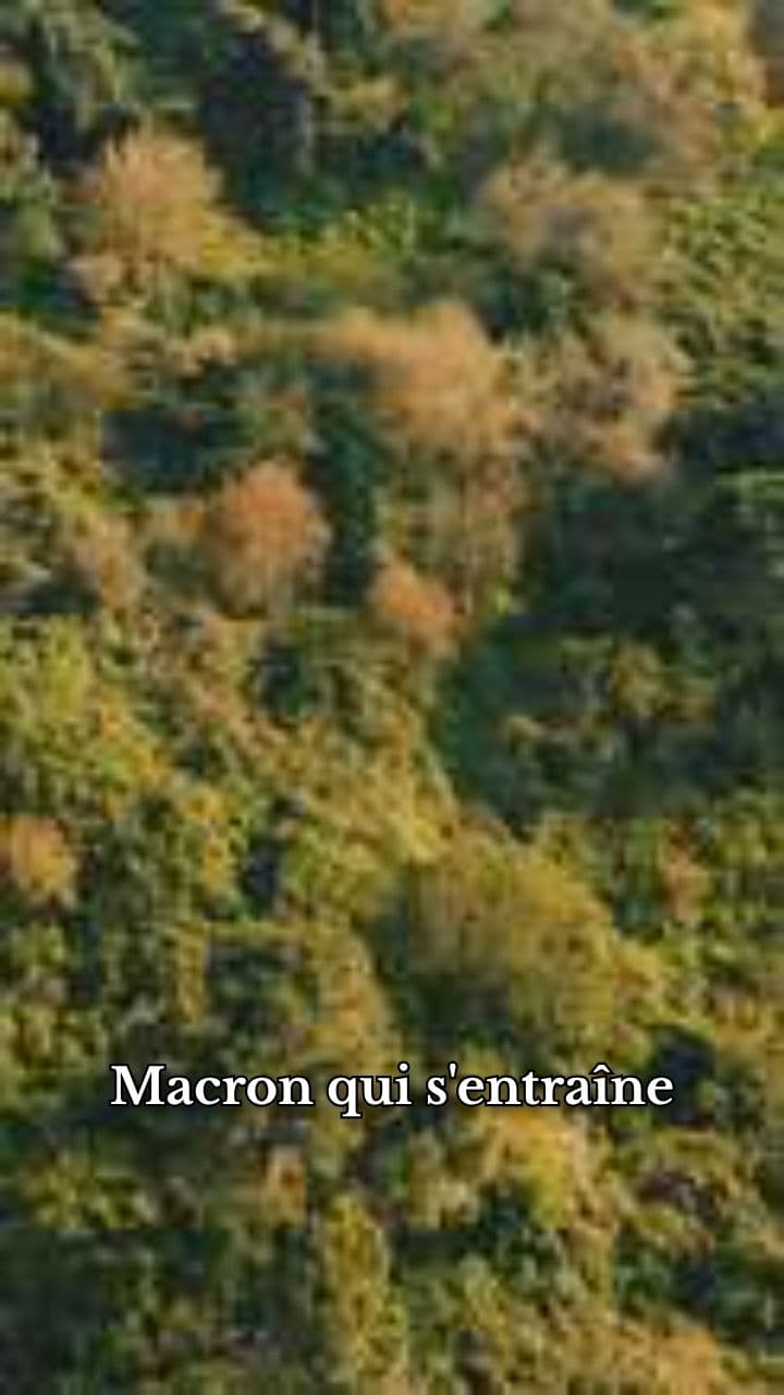 Macron s'entraîne avec Goku