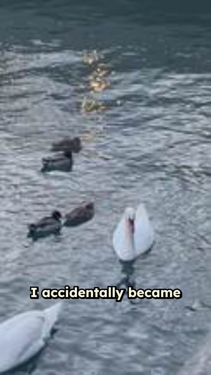 From Joke to Duck Calling Champion