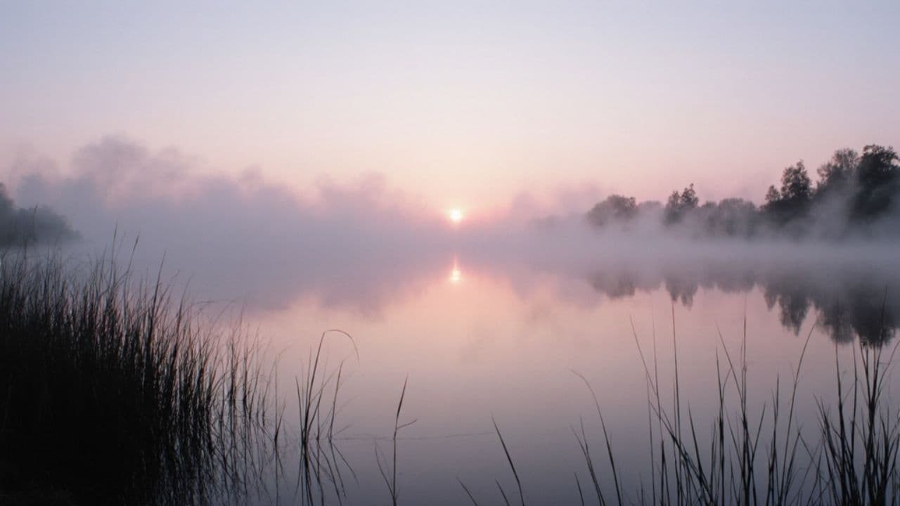 Bridging the Silence