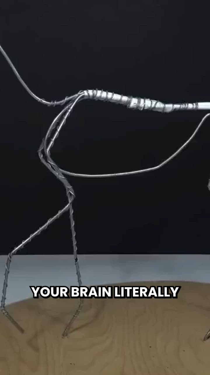 Brain Autophagy: The Cost of Sleep Deprivation