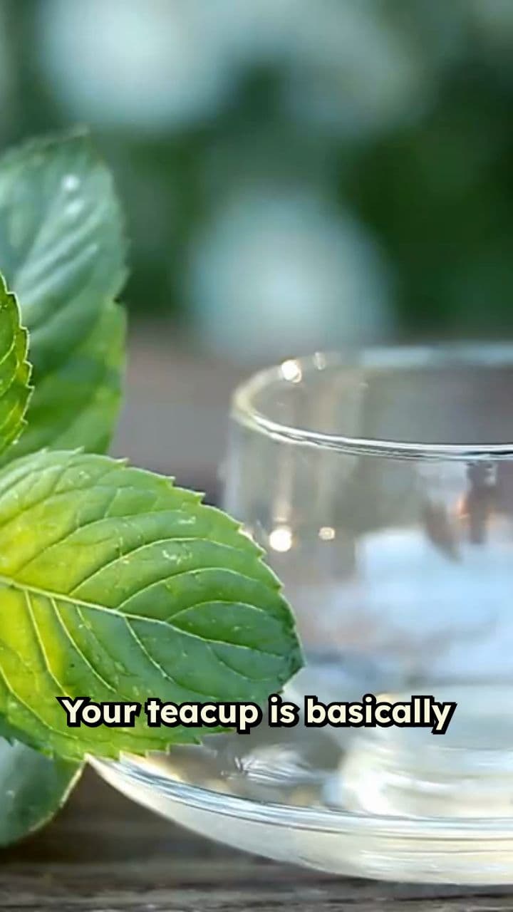 Tea Torture: A Morning Ritual