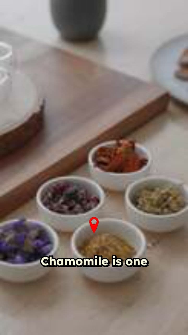 Chamomile for Calm and Comfort