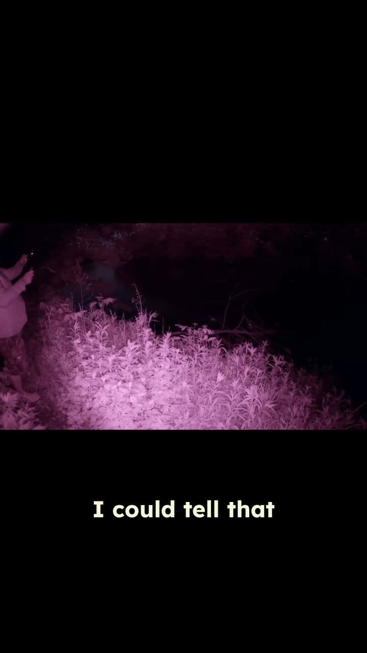 It Was 7 Feet Tall With The Head Of A Pit Bull