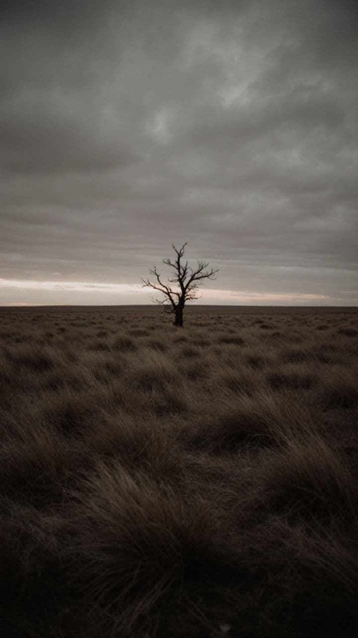 Scherben der Kindheit