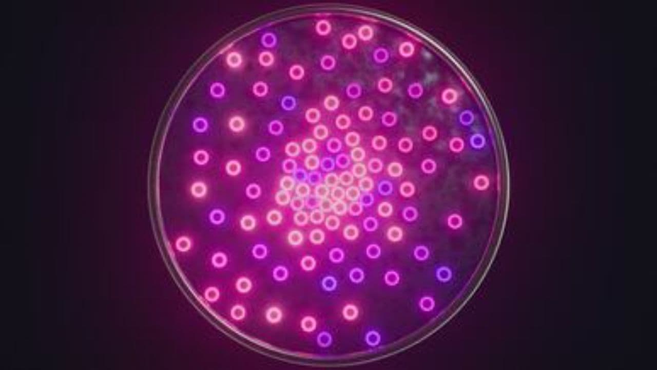 نشيد نادي أيسم السعودية