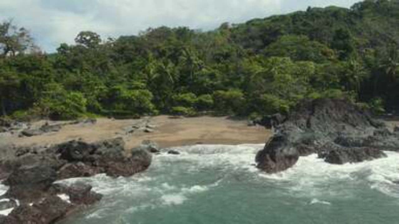 Путешествие по миру динозавров