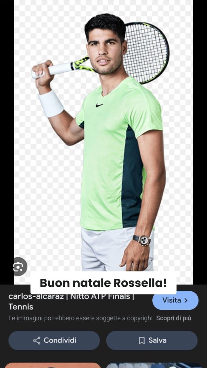 Carlos Alcaraz Natale Brainrot