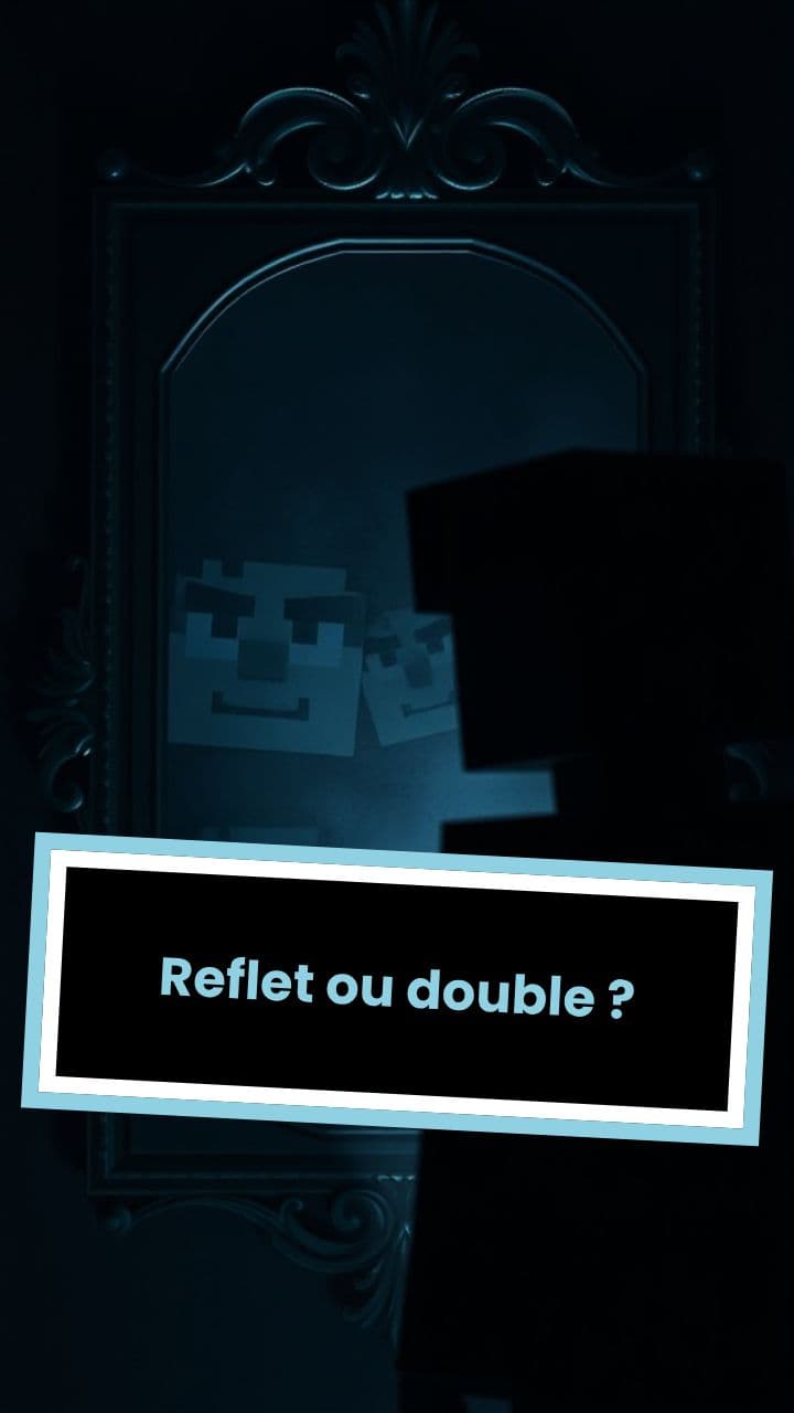 Reflet ou double ?
