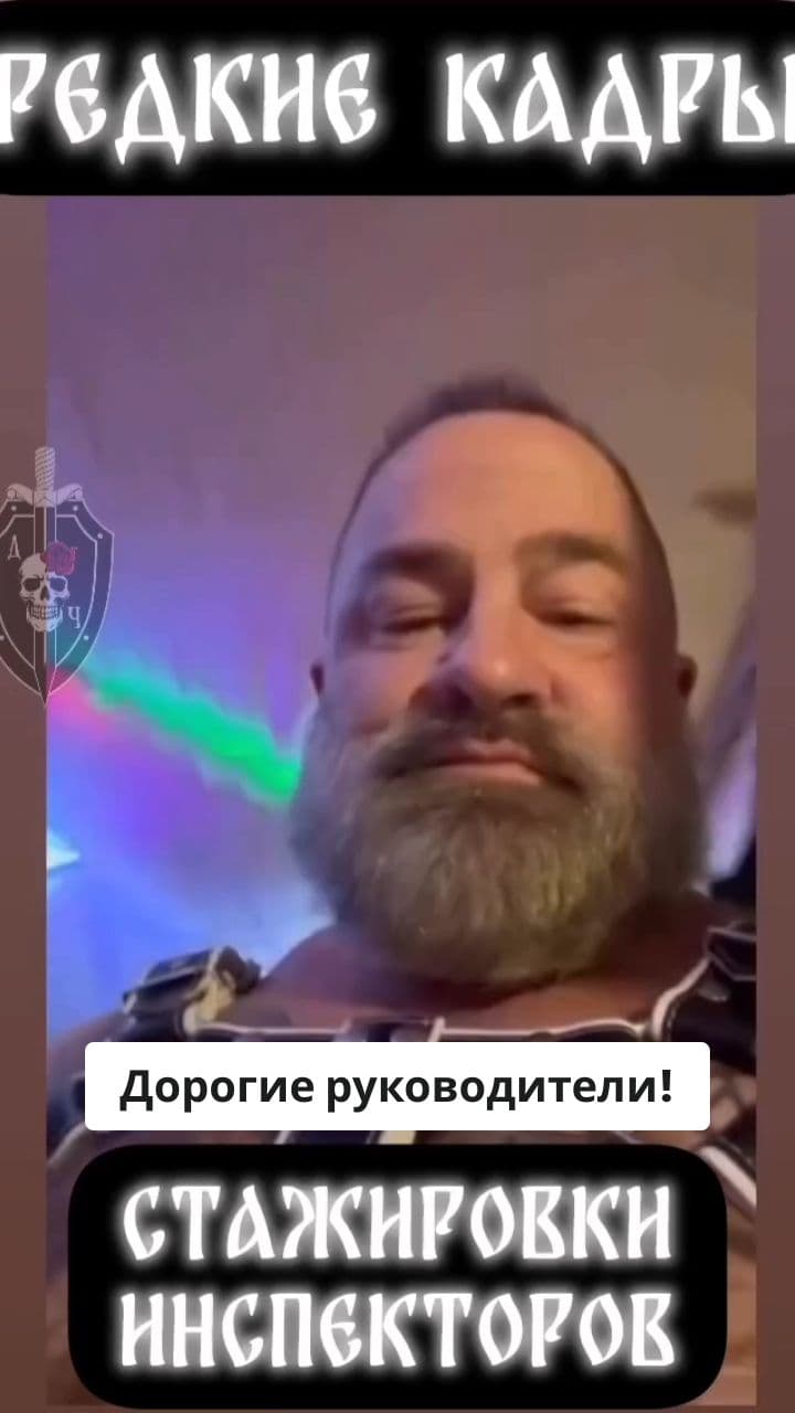 Новогоднее поздравление от Голубой устрицы