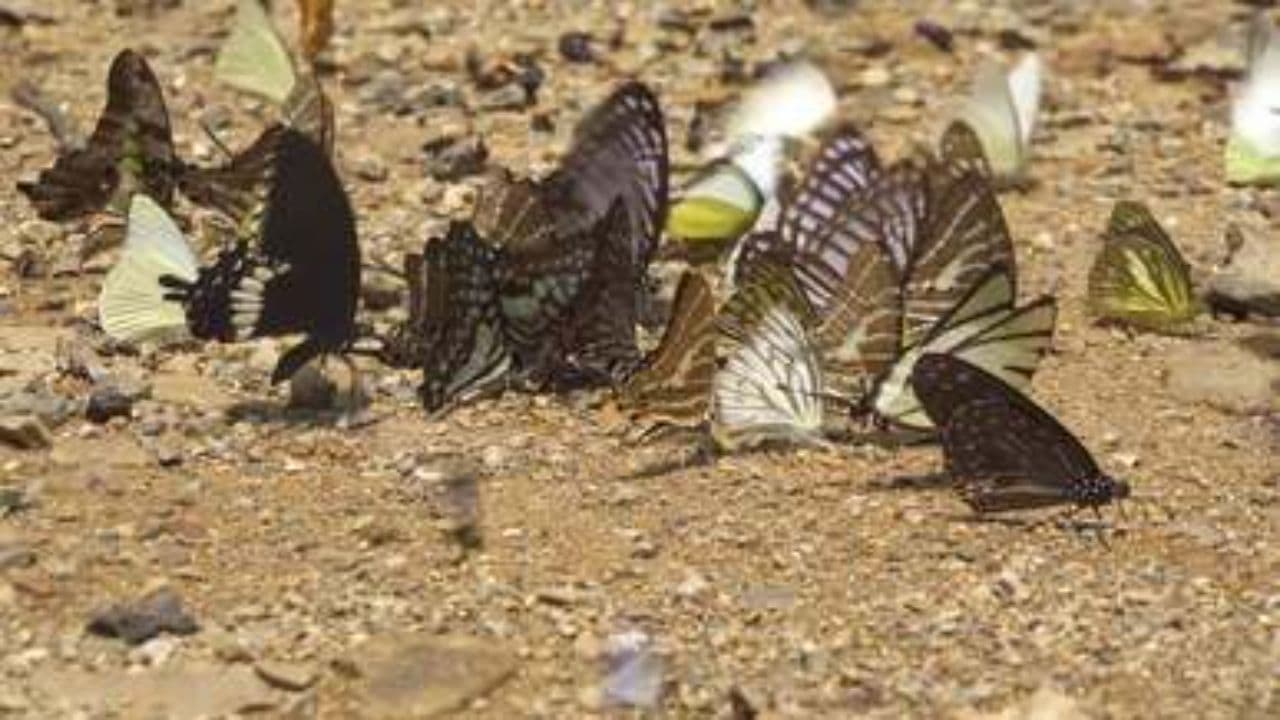 Mastering Letters from I to Z