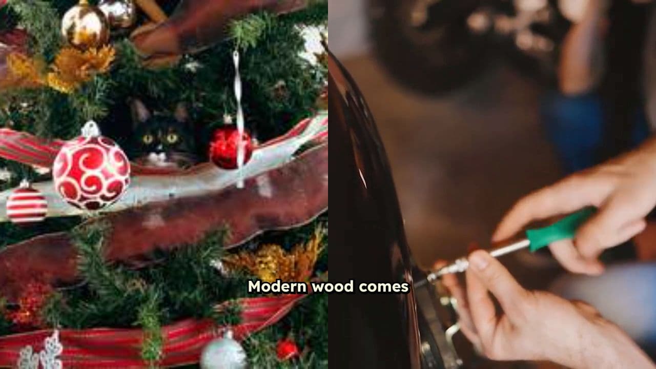 The Scam of Modern Wood Treatment