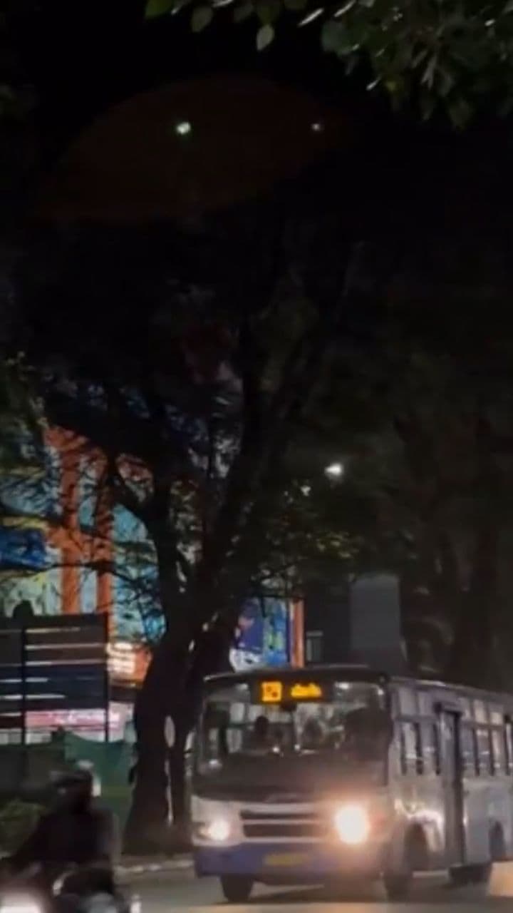 Take My Hand Tonight