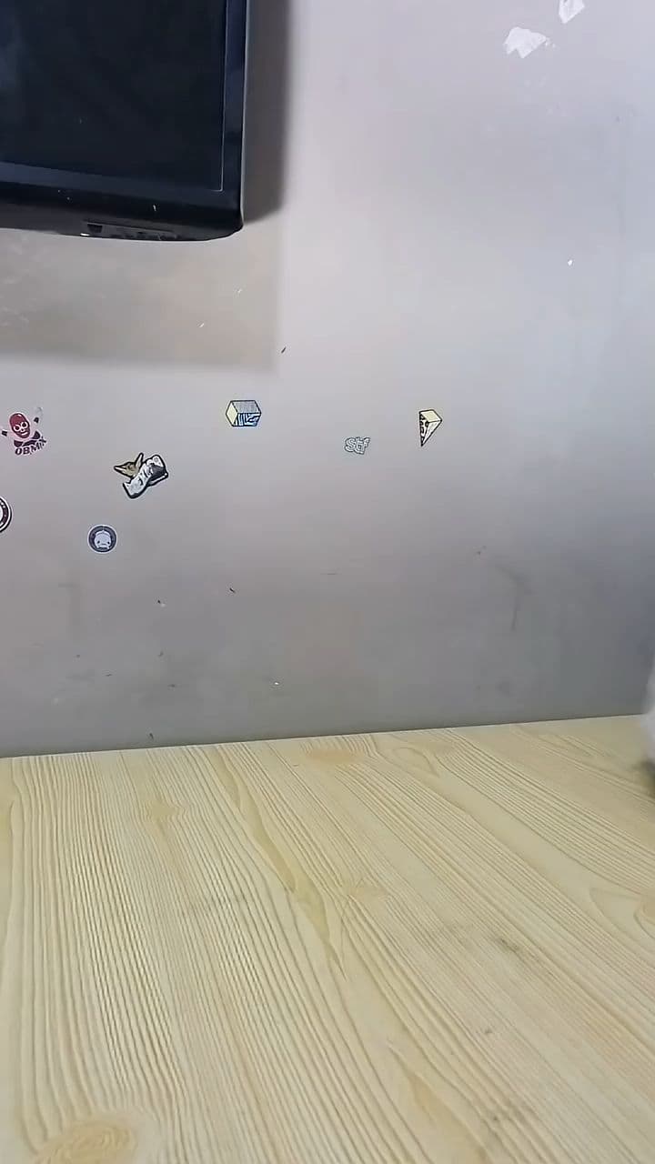 Soy el espíritu de las chaquetas