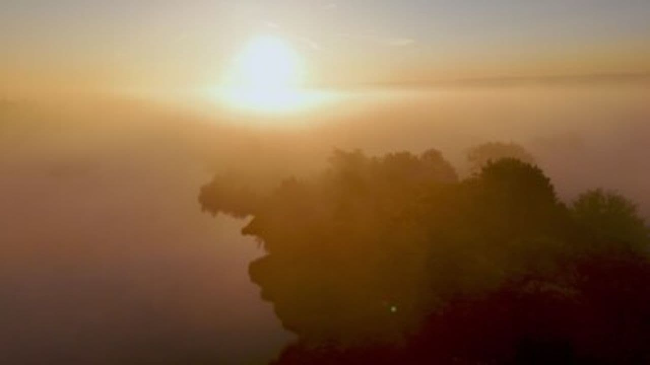 The Return of First Light