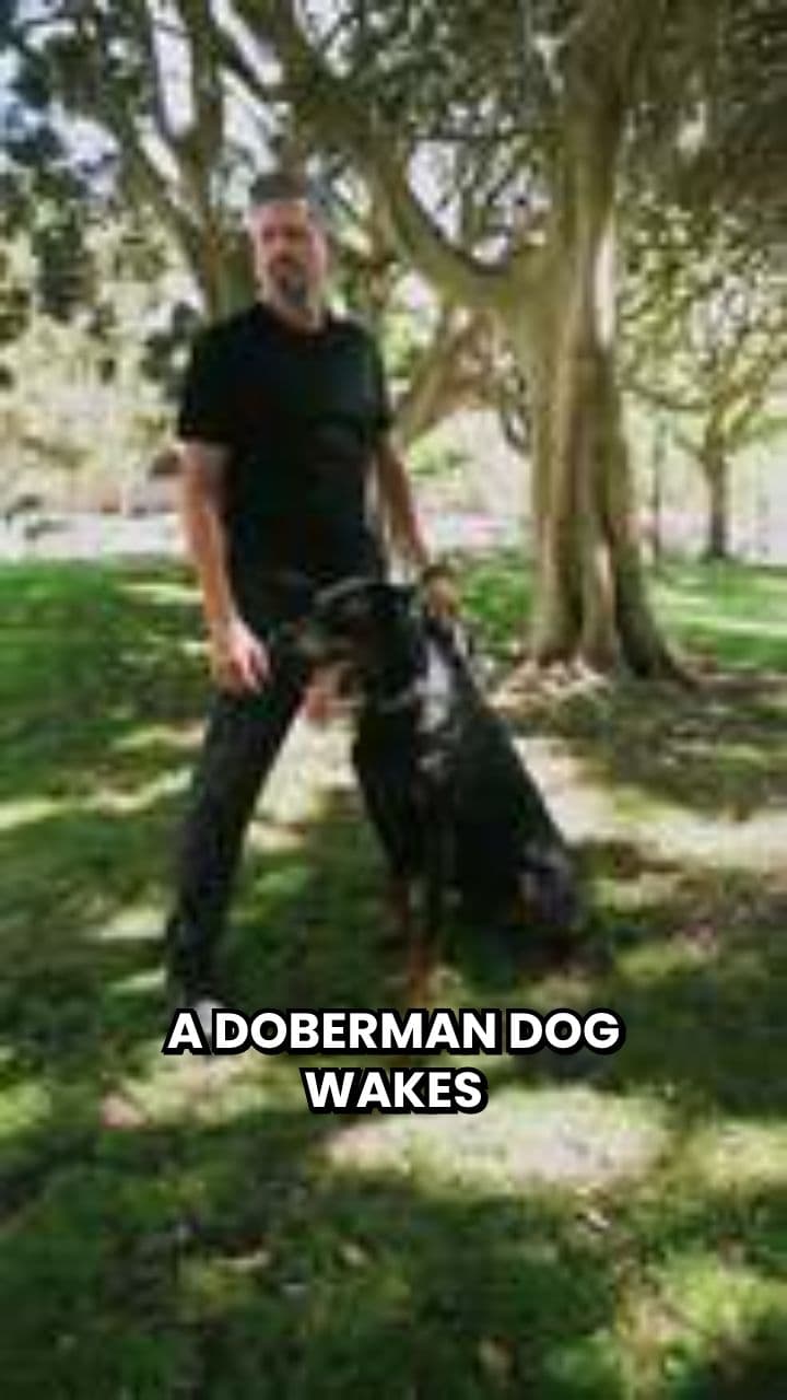 A Dog's Walk Amidst Human Turmoil