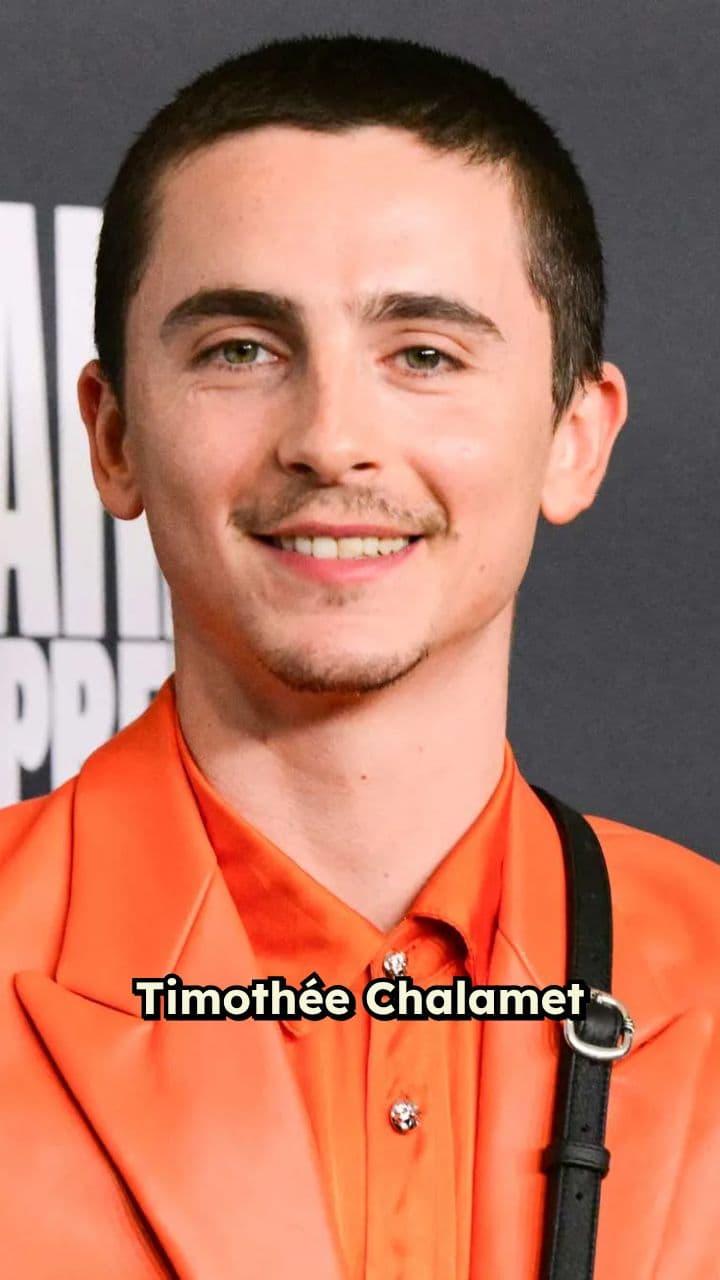 Timothée Chalamet's Secret Identity Rumor