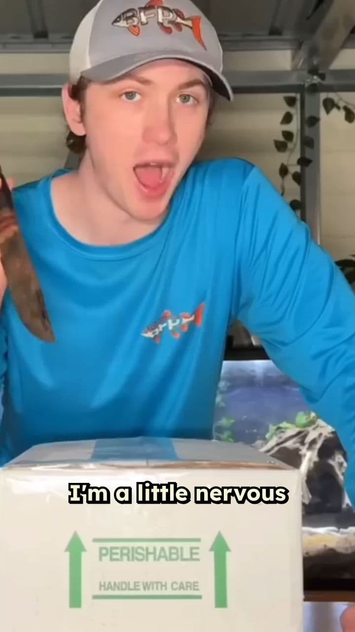 Unboxing a Giant Land Crab