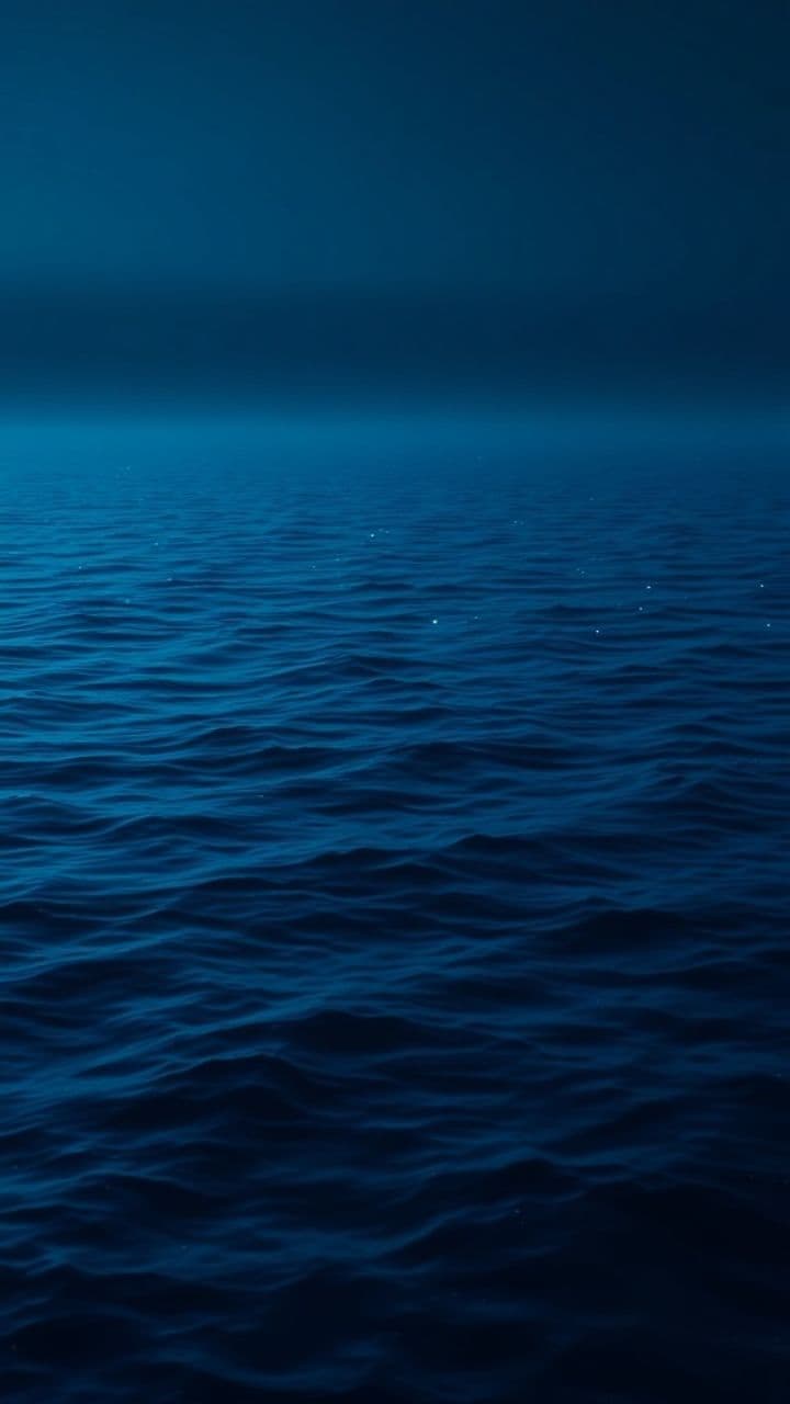 Euphoric Journey in Electronic Sound