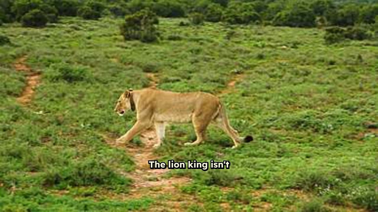 Wisdom Over Jealousy