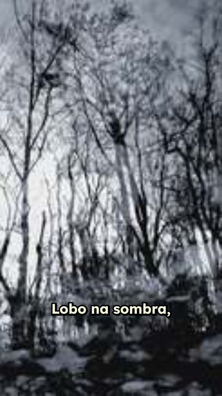 Lobo na Sombra, Cordeiro na Luz