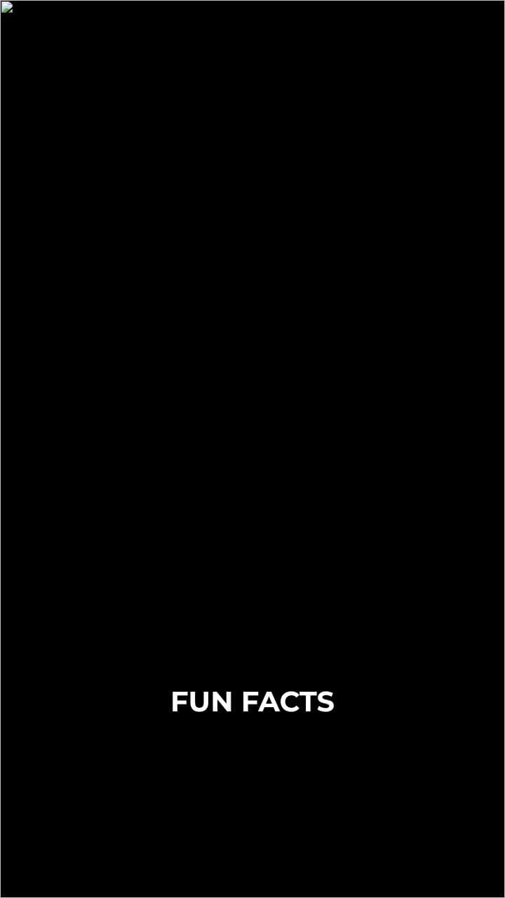 fun facts