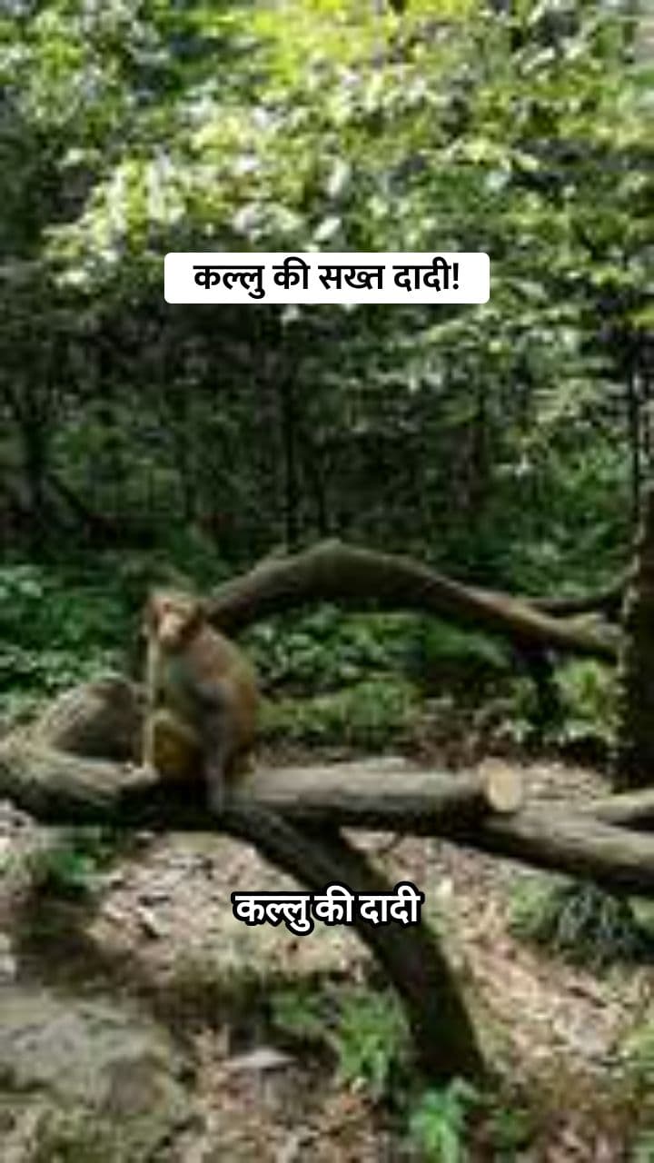 Kallu aur Dadi ka Anda Mission