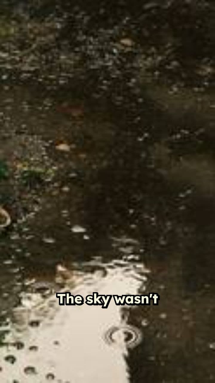 Echoes of the Trench