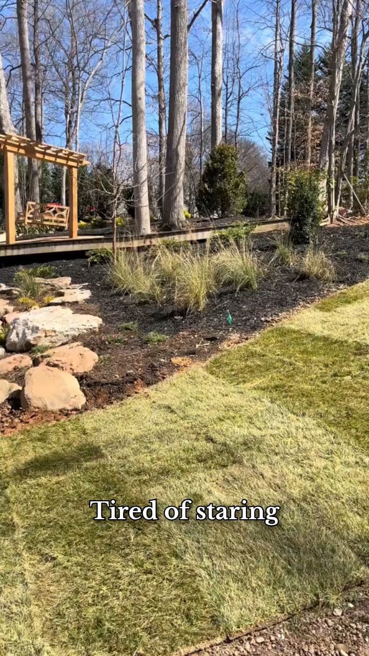Lush Green Carpets: Sod Installation