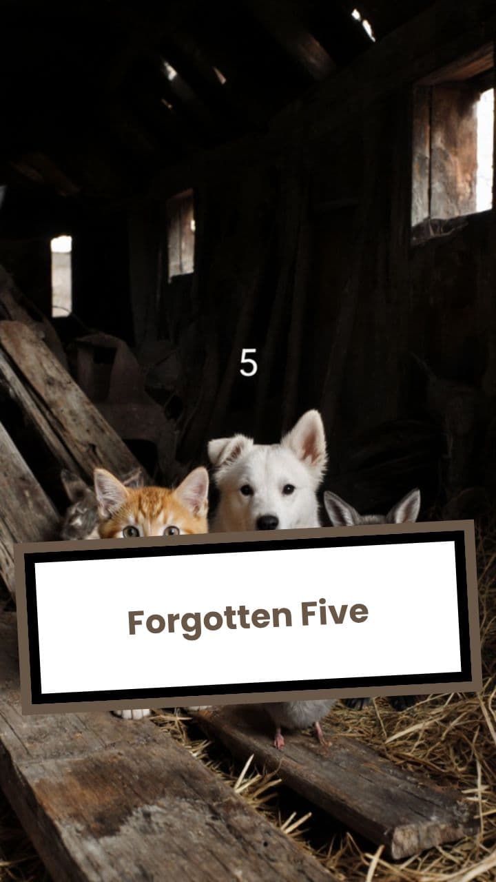 Forgotten Five