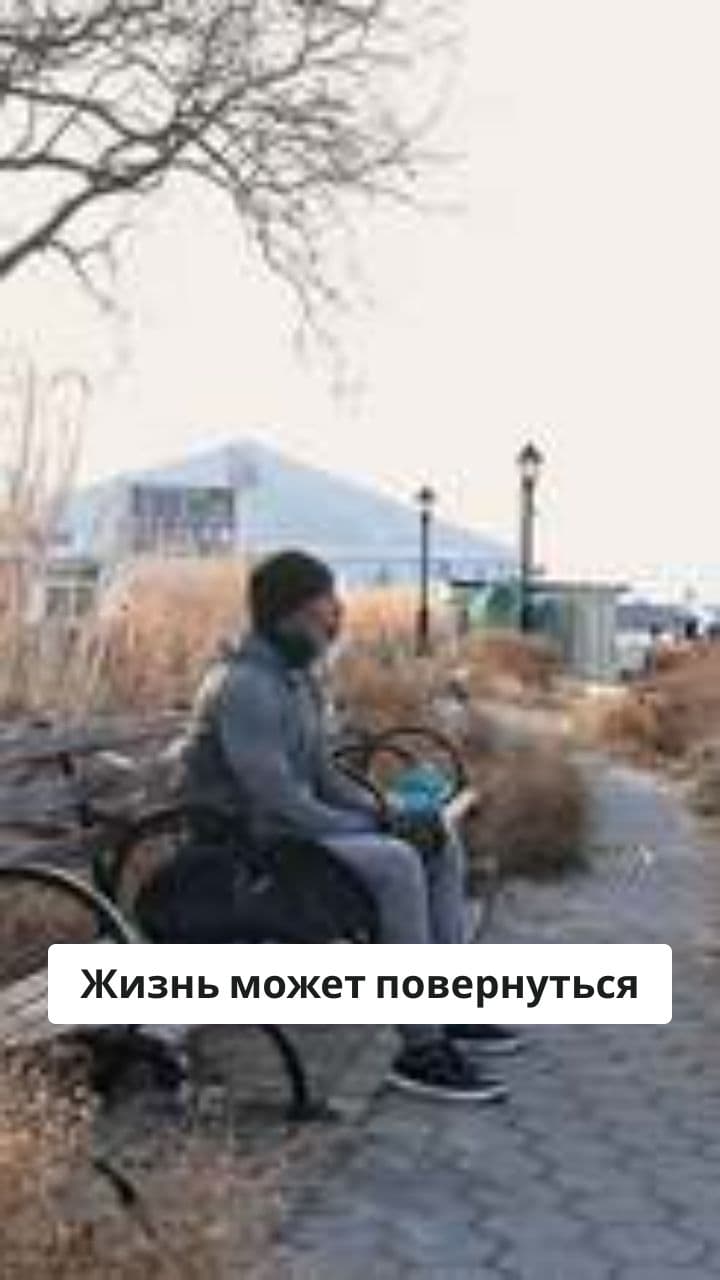 Бездомный Аристократ