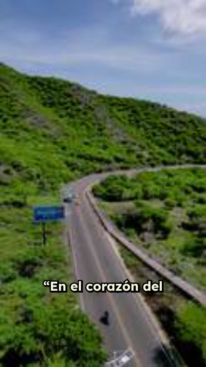 Caldas: Tierra de Café y Tradición